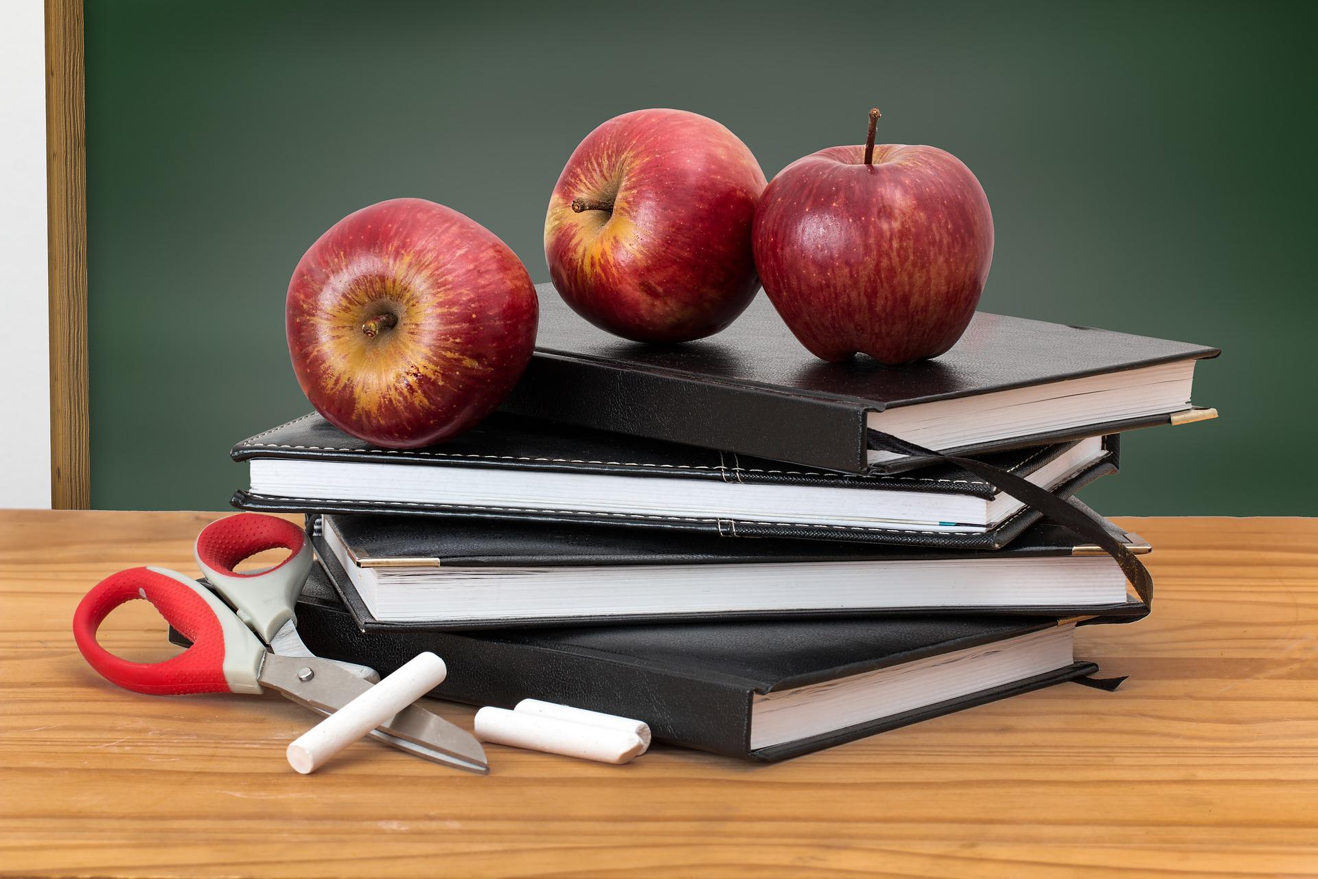 Curt4SchoolBoard apples