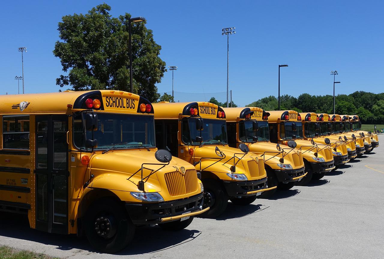 Curt4SchoolBoard schoolbus